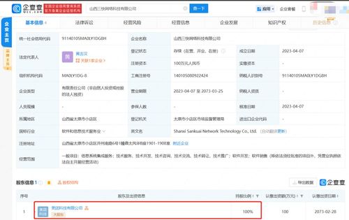 信息系統(tǒng)集成服務(wù) 構(gòu)建數(shù)字化未來(lái)的關(guān)鍵橋梁